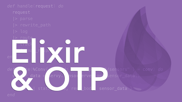 Developing With Elixir/OTP Team License: For up to 10 team members